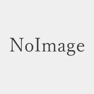 添付された応募書類のプレビュー
